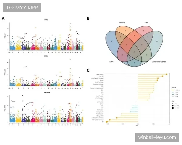 米特罗维奇表现稳健，关键时刻彰显领袖风范